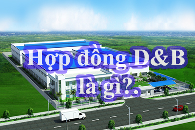 Hợp đồng D&B là gì?